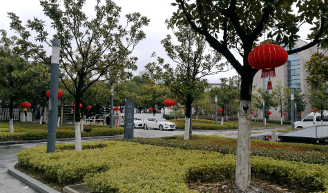 掛燈籠，貼春聯(lián)  蘇化科技園內(nèi)年味濃