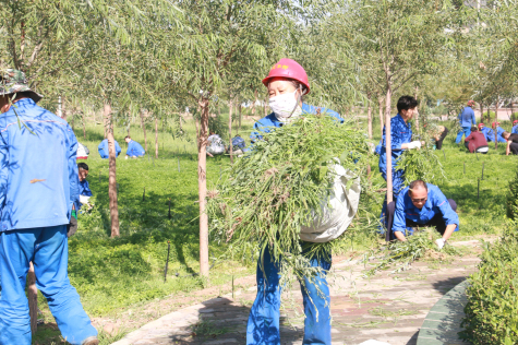 營(yíng)造優(yōu)美環(huán)境 共建美麗華御
