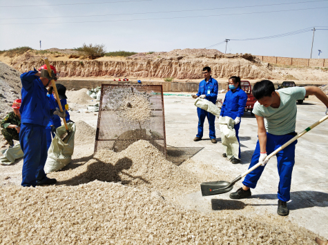寧夏華御團(tuán)委組織團(tuán)員青年突擊勞動(dòng)