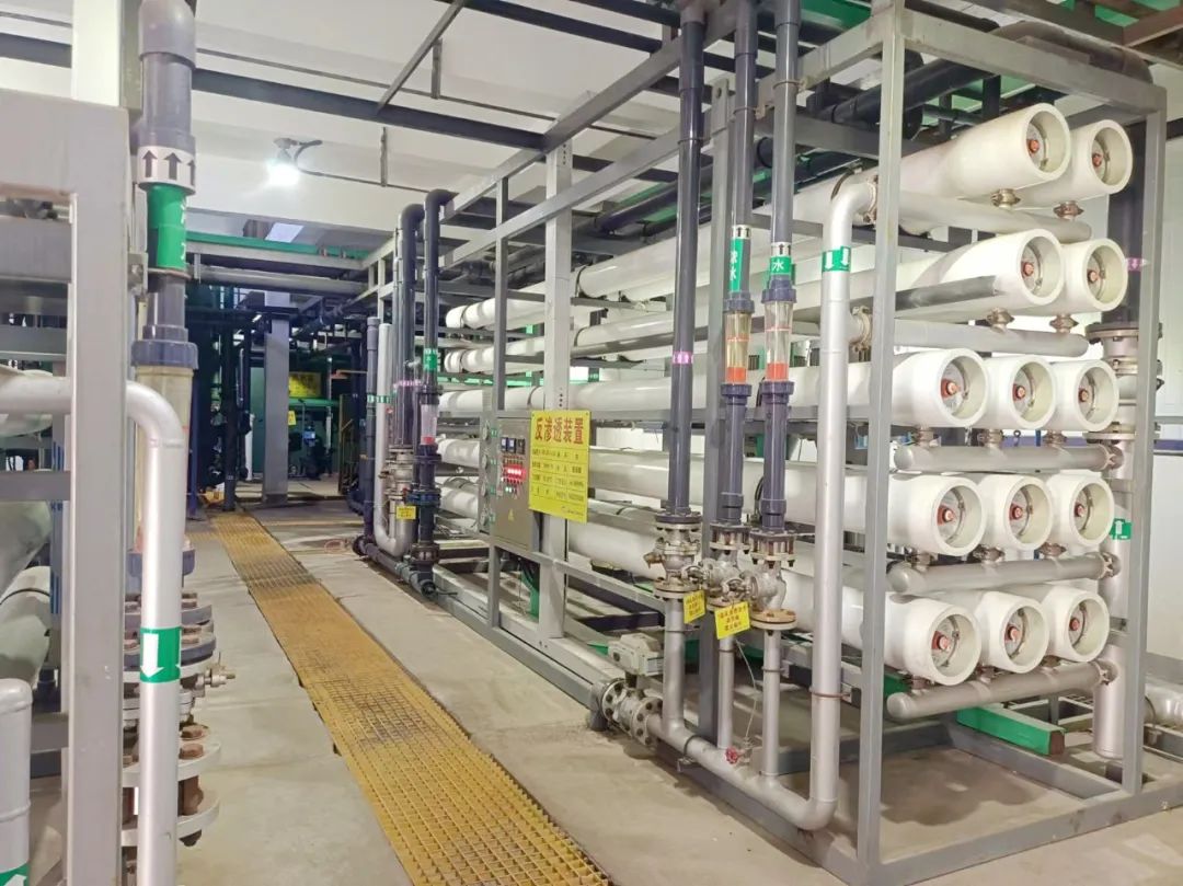 1733191115979818.jpg 640 (1).jpg